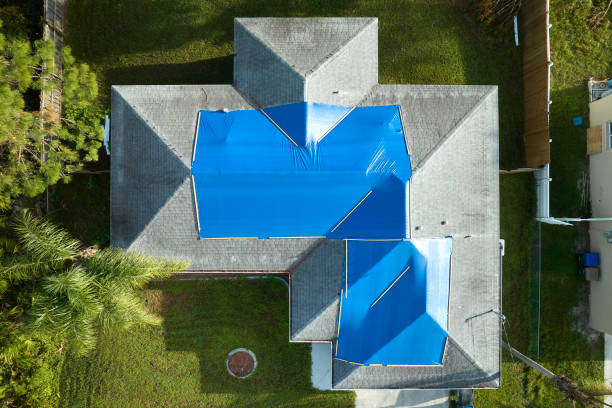 Best Roof Moss and Algae Removal  in Canyon, TX
