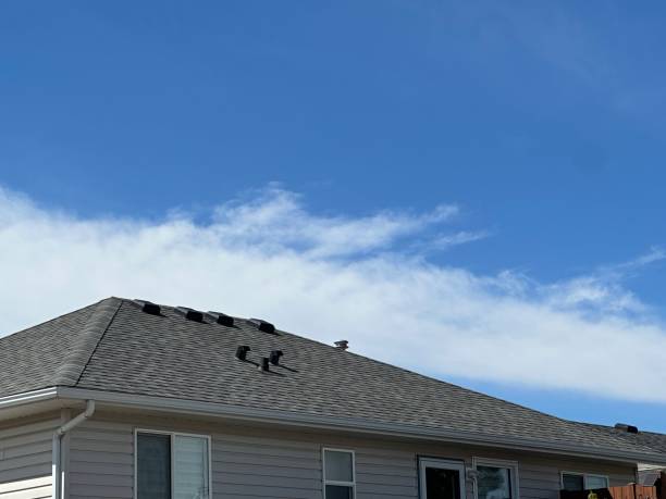 Best Storm Damage Roof Repair  in Canyon, TX